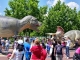 Dino Parc - rasnov